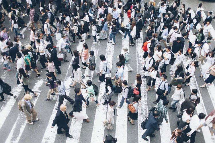 职场的故事及感悟分享